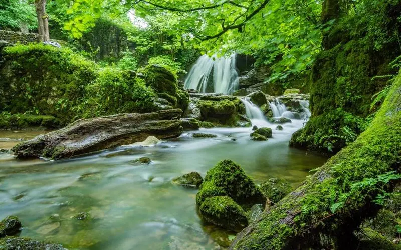 高质量高效